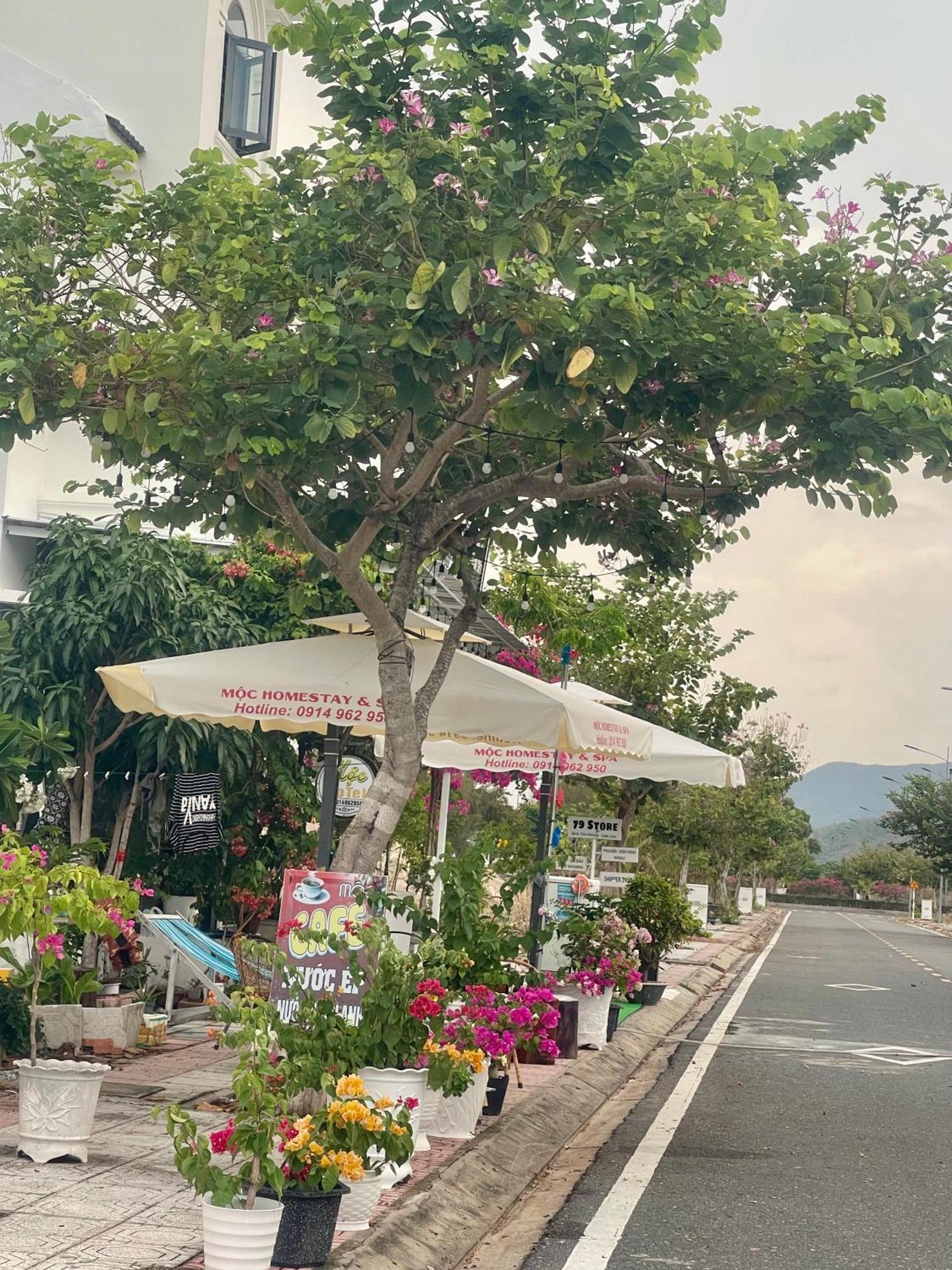 Moc Homestay- Near Bai Dai Beach Cam Lam Exterior foto